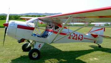 Kitfox